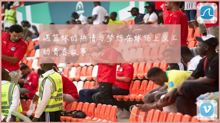 遇篮球的热情与梦想在球场上交汇的青春故事