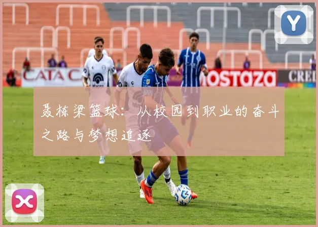 聂栋梁篮球：从校园到职业的奋斗之路与梦想追逐