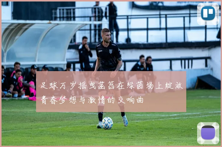 足球万岁摇曳菡萏在绿茵场上绽放青春梦想与激情的交响曲