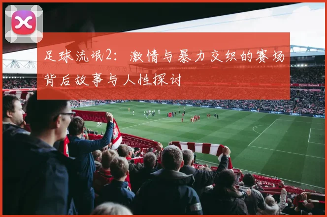 足球流氓2：激情与暴力交织的赛场背后故事与人性探讨