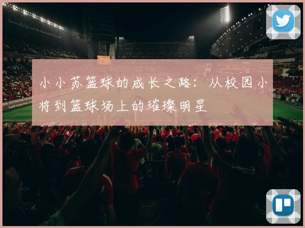 小小苏篮球的成长之路：从校园小将到篮球场上的璀璨明星